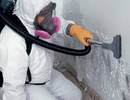 Best Crawl Space Mold Remediation  in Shattuck, OK